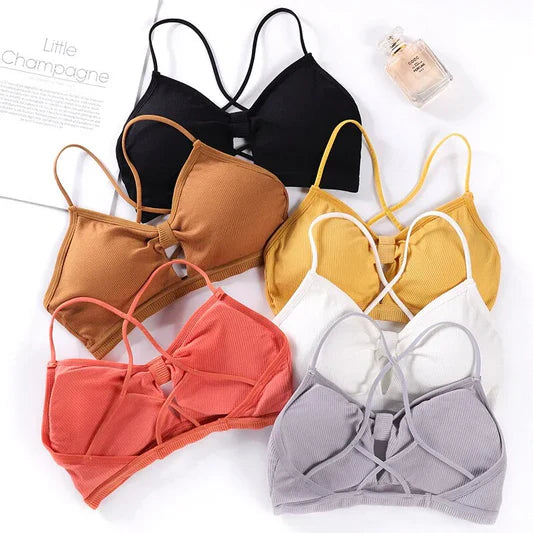 Bodywear Bra's